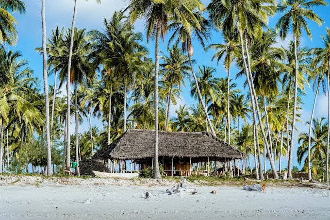 Kanga Beach Paradise gallery image 15
